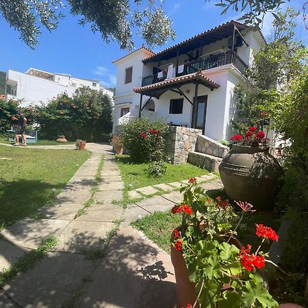 Apartmán Eleni Del Sol Skopelos Exteriér fotografie