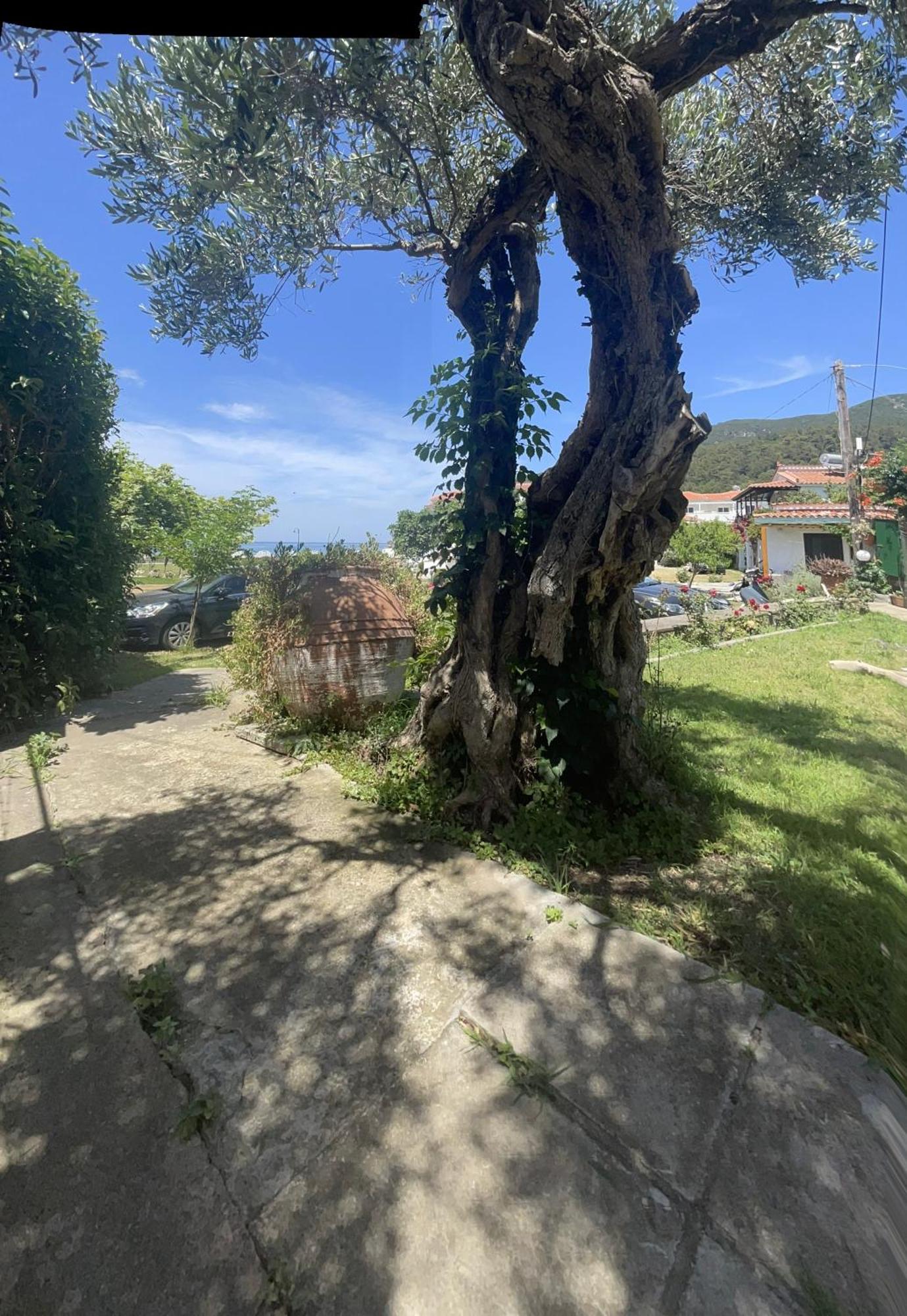 Apartmán Eleni Del Sol Skopelos Exteriér fotografie